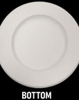 Shock Frisbee